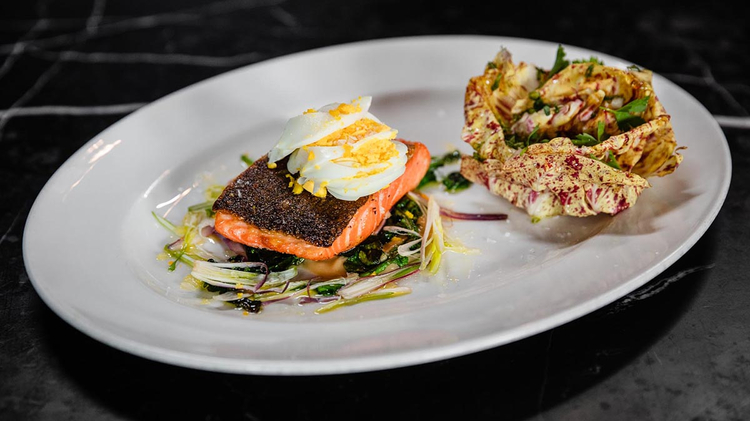 Ocean Trout with Castelfranco & Arugula