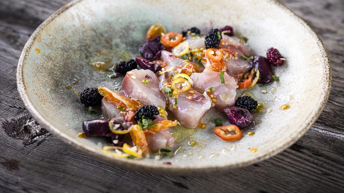 Fish Crudo with Berries & Chilis. The fish crudo is sliced fresh and showered with mulberries, tomatoes, peppers, and garden tarragon. Light and fresh, perfect on a hot day.
